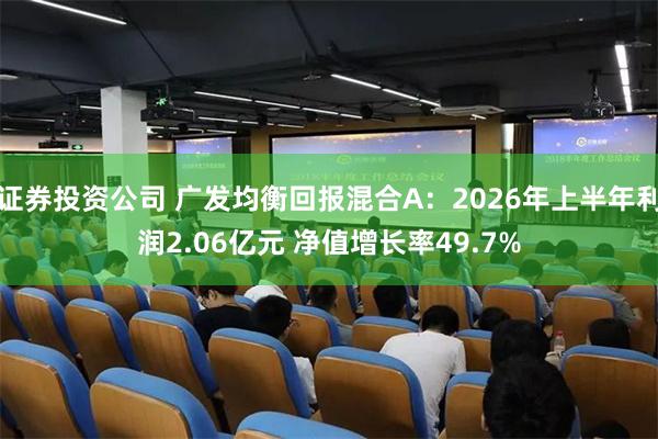 证券投资公司 广发均衡回报混合A：2026年上半年利润2.06亿元 净值增长率49.7%