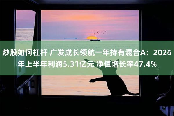 炒股如何杠杆 广发成长领航一年持有混合A：2026年上半年利润5.31亿元 净值增长率47.4%