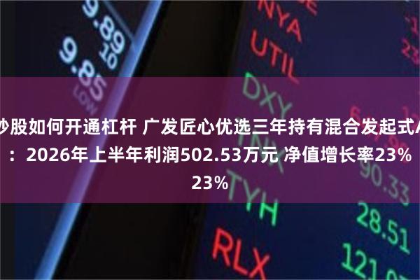 炒股如何开通杠杆 广发匠心优选三年持有混合发起式A：2026年上半年利润502.53万元 净值增长率23%