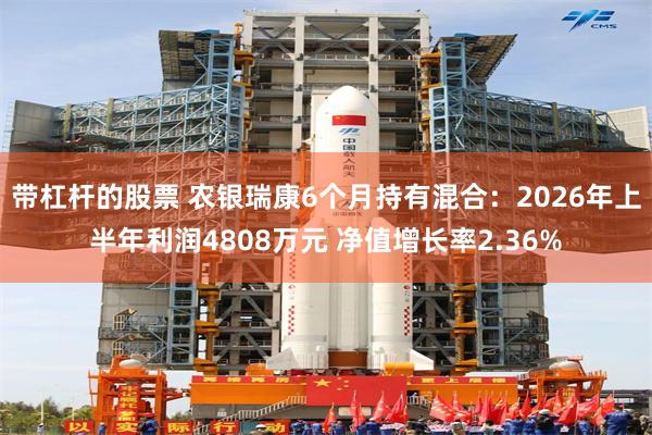 带杠杆的股票 农银瑞康6个月持有混合：2026年上半年利润4808万元 净值增长率2.36%