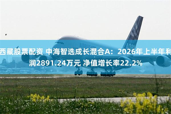 西藏股票配资 中海智选成长混合A：2026年上半年利润2891.24万元 净值增长率22.2%