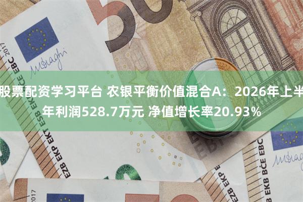 股票配资学习平台 农银平衡价值混合A：2026年上半年利润528.7万元 净值增长率20.93%