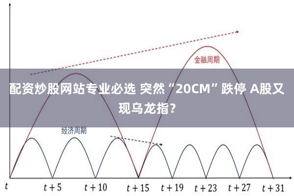 配资炒股网站专业必选 突然“20CM”跌停 A股又现乌龙指？