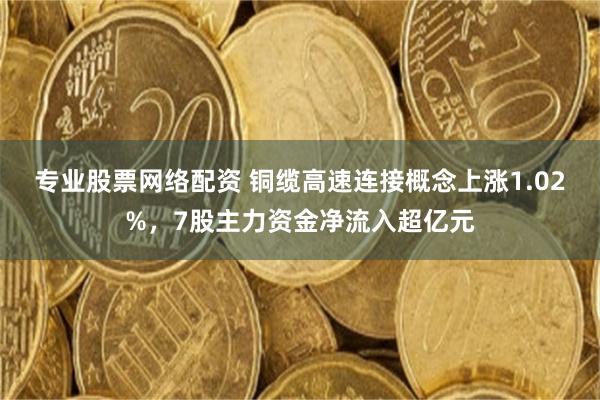 专业股票网络配资 铜缆高速连接概念上涨1.02%，7股主力资金净流入超亿元