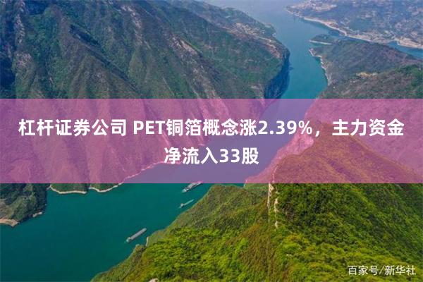 杠杆证券公司 PET铜箔概念涨2.39%,主力资金净流入33股