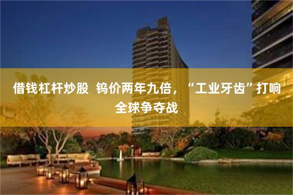借钱杠杆炒股 钨价两年九倍,“工业牙齿”打响全球争夺战